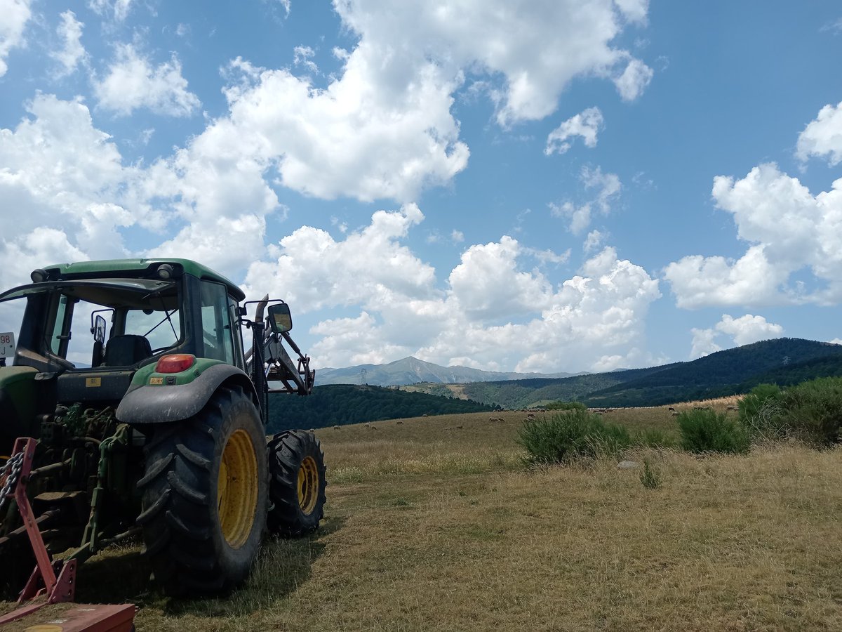 Casa estiu la mateixa cançoneta... Mentrestant des de la Conselleria fan tot el possible per fer caure la pagesia arrelada a la terra.
Ja no me'ls escolto i tampoc n'espero res.
Seguim a primera línia de la trinxera fent la feina que ells no faran mai
Pagesia activa és gestió!