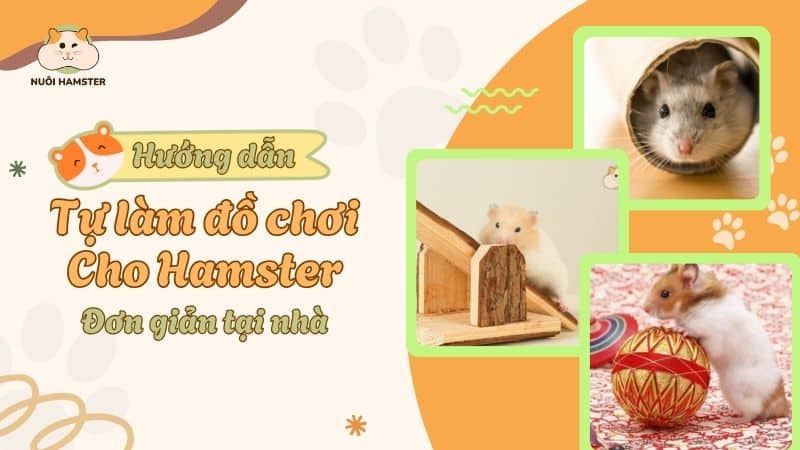 NuoiH59778's tweet photo. Hamster cưng nhà bạn chán đồ chơi cũ rồi? 🥺

Tớ có ngay list ý tưởng tự làm đồ chơi siêu xịn, dễ làm, tiết kiệm budget mà bé nào cũng mê! 🐹✨

Click xem ngay: https://t.co/WhwodldysQ

#nuoihamster #dochoihamster #hamsterdiy #petlovers https://t.co/ITvizSqPvG