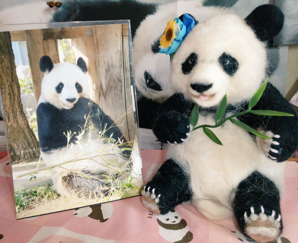 みみこ (@opan335) / Posts / X