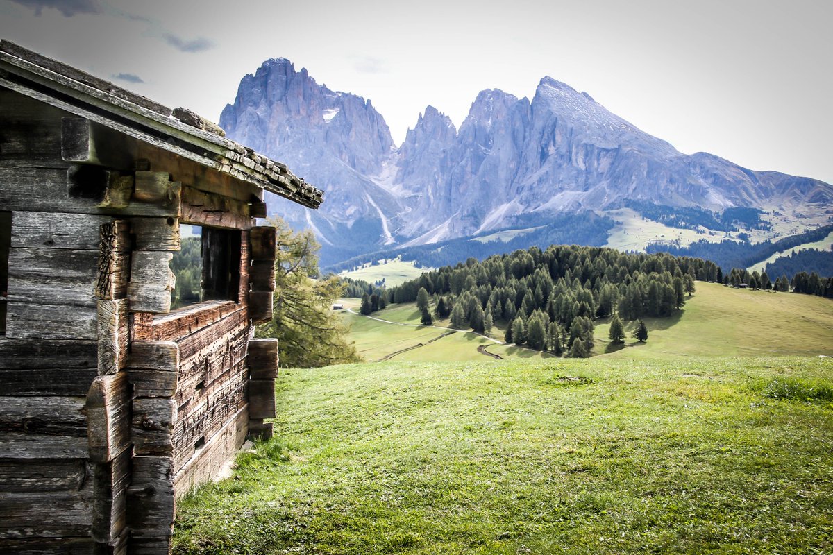 Shoot from the Trip tweet media