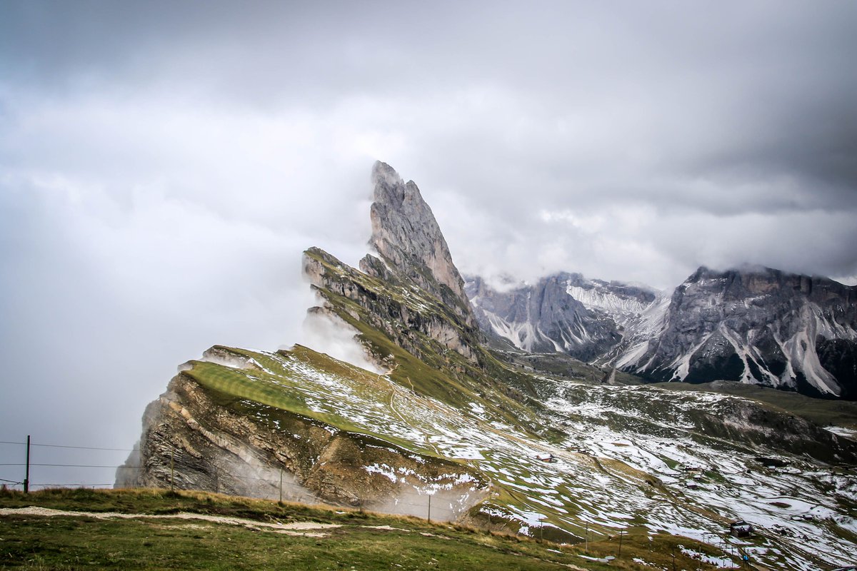 Shoot from the Trip tweet media