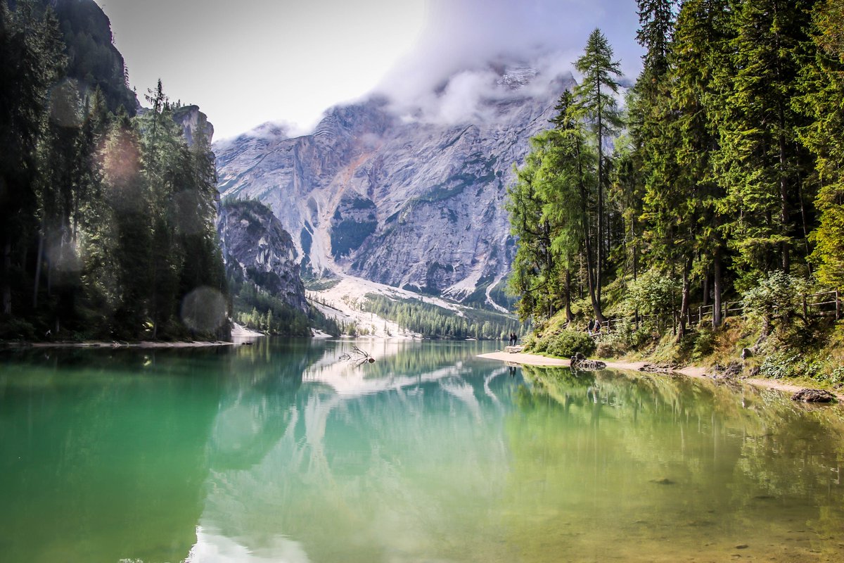 Shoot from the Trip tweet media