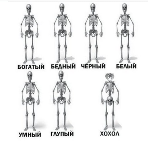 YacekPyos tweet picture