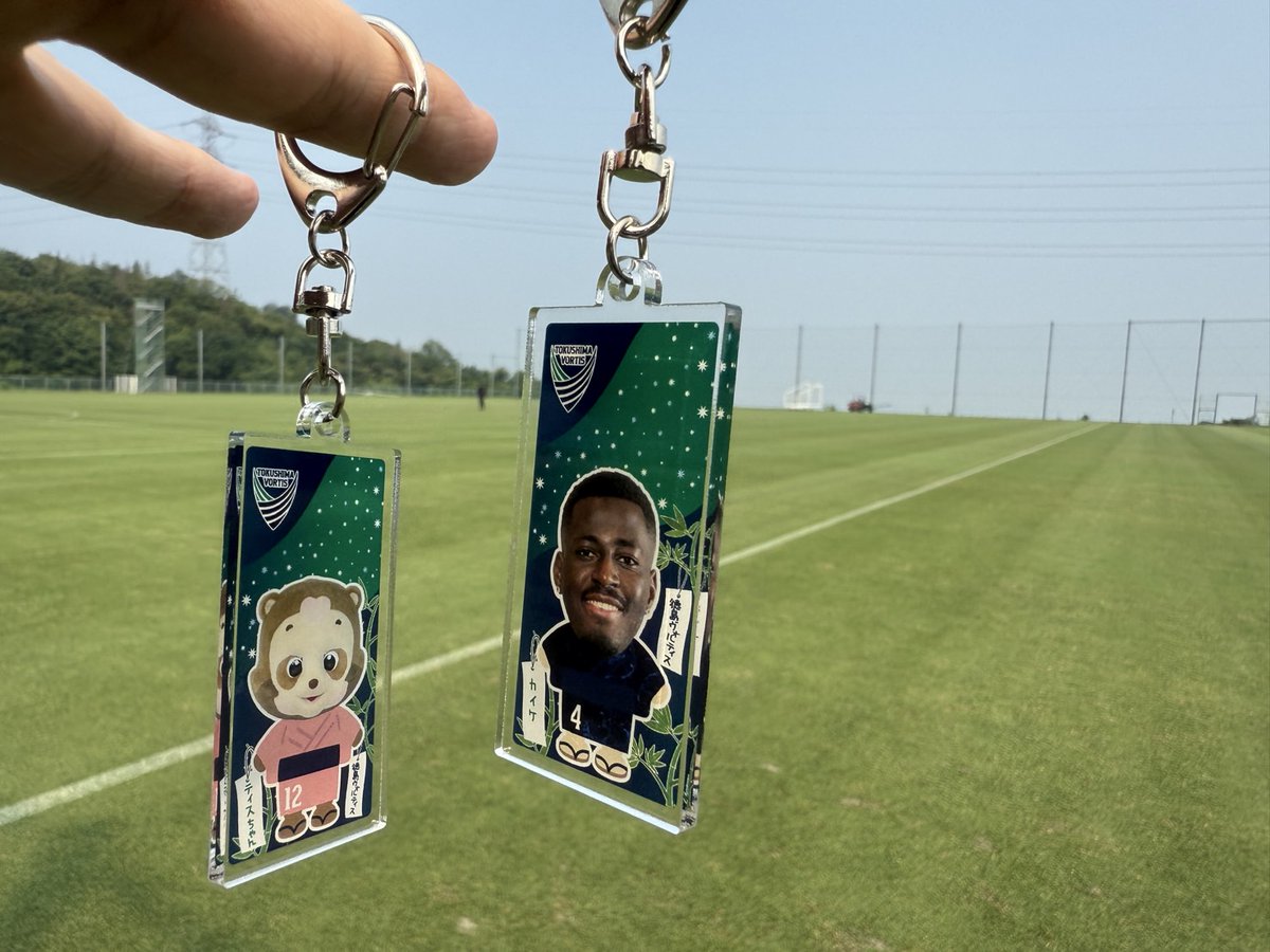 徳島ヴォルティスゆらゆらアクリル 徳島ヴォルティス ゆらゆらアクリル