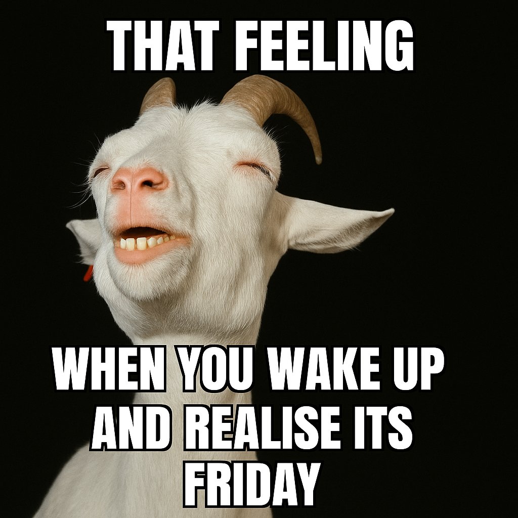 Weekend plans? I wanna hear 'em 👇