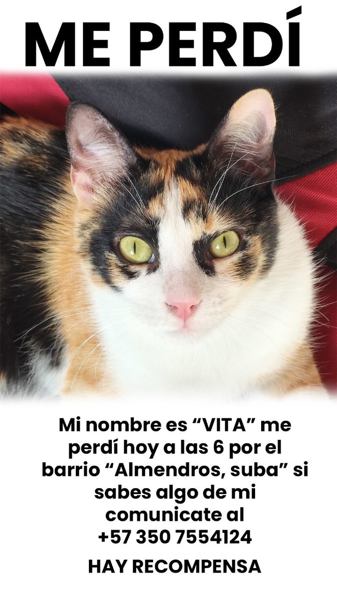 Aparece por favor, sin ti me muero