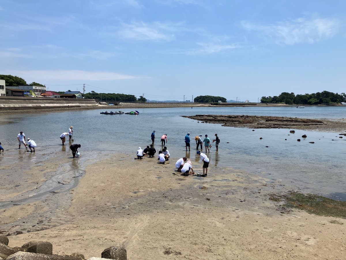 🌊日本郵船が愛知県佐久島での藻場再生活動に参加！🌱