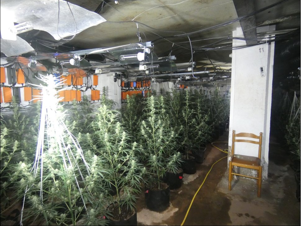Cati_Lleida's tweet photo. 🔴 Desmantellen una plantació de marihuana en un antic prostíbul a peu de la carretera C-14 a les Valls d'Aguilar, a l'Alt Urgell
👉 Els @mossos hi van trobar més de 650 plantes i van detenir dos homes que vivien al mateix edifici
https://t.co/6DZx3hVkFA https://t.co/1go9zidNlP