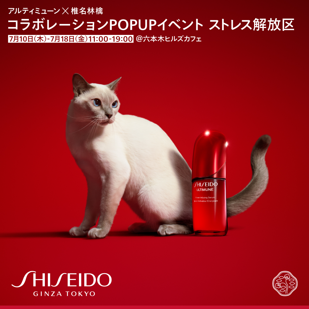 椎名林檎ポップアップスタンド windcolor-y-shopping_c5-jb2-7ak