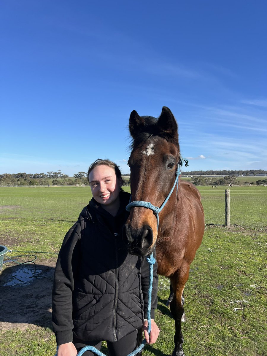 LivingLegendsAU's tweet photo. Santa Ana Lane (aka Santa) and Silent Witness (aka Silly) have been pampered with a bath and plenty of love from our #LearningWithLegends students.
Now they're fresh, fabulous, and ready for a big day out at Flemington tomorrow for the Flemington Finals Race Day! 🐴✨
Race 3 on the program, the Santa Ana Lane Sprint Series Final, is named in honour of our very own Santa and his incredible career 🏆💨
We're sure Santa will be wishing all the runners the very best - and secretly wishing he was out there racing with them one more time!
You can catch Santa and Silly parading in the Mounting Yard after Races 2 and 4, and visit them in Stalls 1 and 2 throughout the day - they'd love to see you for a pat and a carrot or 10! 💛🥕
#livinglegendsau #livinglegends #santaanalane #santa #silentwitness #silly #flemington #raceday #flemingtonfinalsraceday #legendsontheroad #learningwithlegends #retiredracehorses #exracehorse #lovethehorse #wash #bath #discoverhume #lifeafterracing #carrots #visitvictoria #visitmelbourne #melbournethingstodo