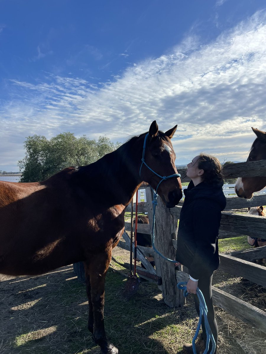 Santa Ana Lane (aka Santa) and Silent Witness (aka Silly) have been pampered with a bath and plenty of love from our #LearningWithLegends students.
Now they're fresh, fabulous, and ready for a big day out at Flemington tomorrow for the Flemington Finals Race Day! 🐴✨

Race 3 on
