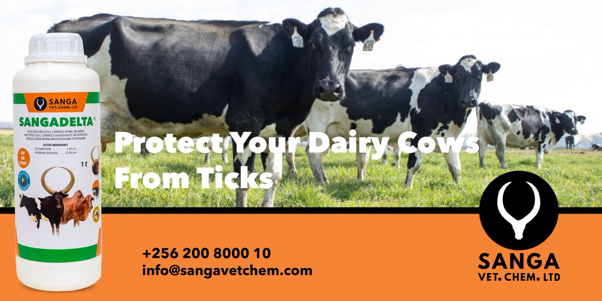 sangavetchem's tweet image. Protecting your cows against diseases transmitted by parasites shouldn't mean compromising on productivity.
SANGADELTA is specially formulated to fight off even the most resistant ticks, lice, mites, flies, and tsetse flies, without any milk withdrawal period. That means that…