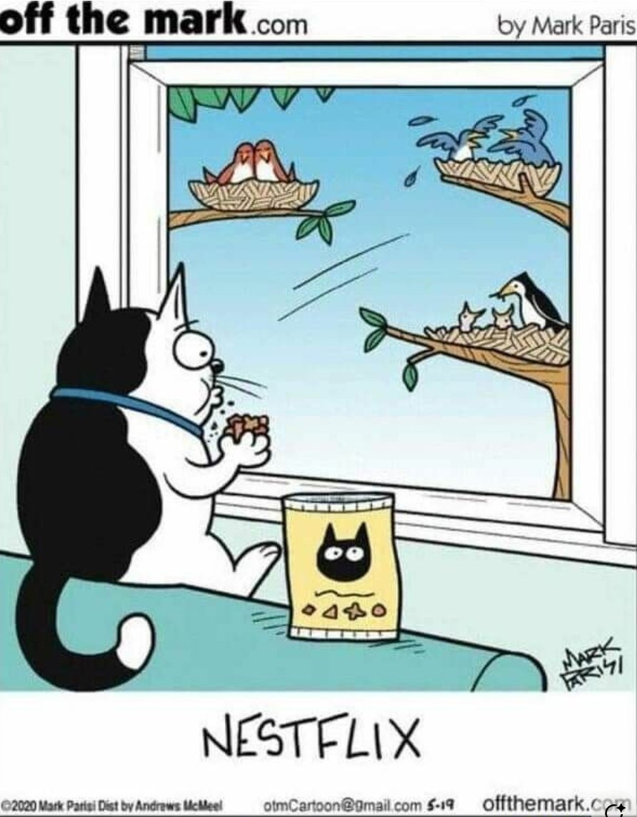 Hyvää viikonloppua! 🐈🥰