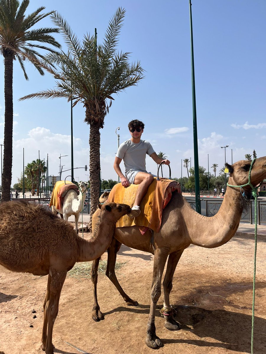 SLUHGlobalEd's tweet photo. Morocco: Our SLUH Arabic scholars spent 2 weeks in Rabat in a language immersion program with Qalam Wa Lawh, a US State Dept. agency for Arabic. Aside from advancing their language skills, homestays, a robust cultural program, & a 2 night desert excursion were major components.