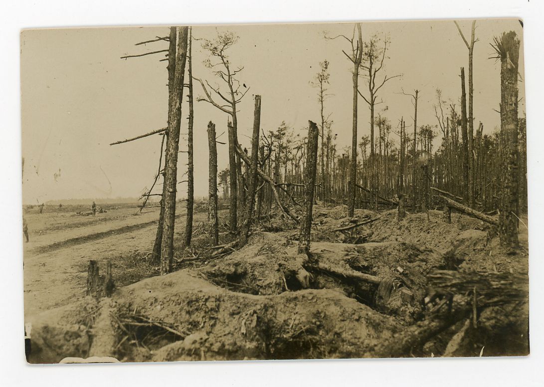 MMP1917's tweet image. Do you recognize this location in Zonnebeke? In this remarkable photo, taken on June 14, 1915, you can see trenches and foxholes at the edge of Polygon Wood. The photo was presumably taken from the southern edge, looking southwest.