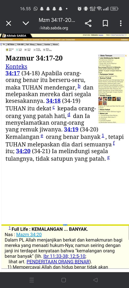 lilie tweet media