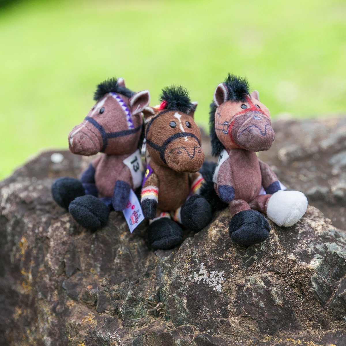 ノーザンホースパーク on X: 