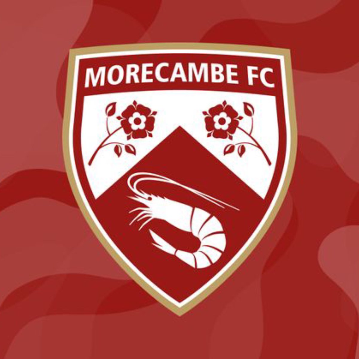StokeyyG2's tweet image. The Disgrace Behind Morecambe FC.

A thread 🧵