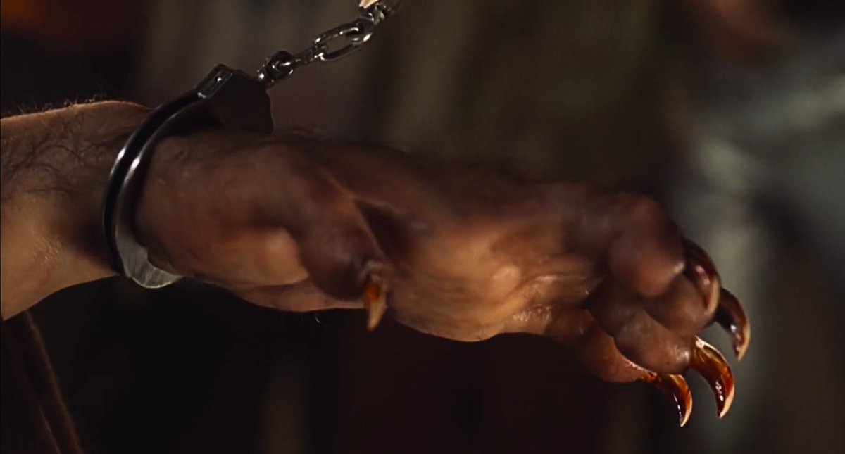 TF lover tweet media