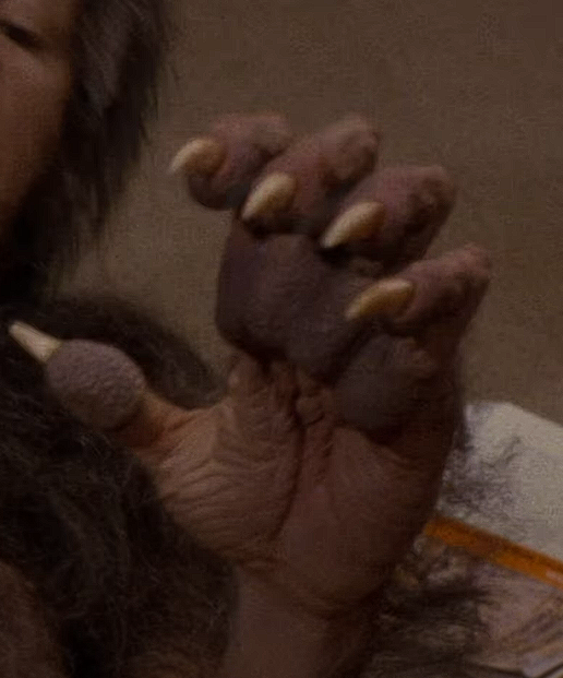 TF lover tweet media