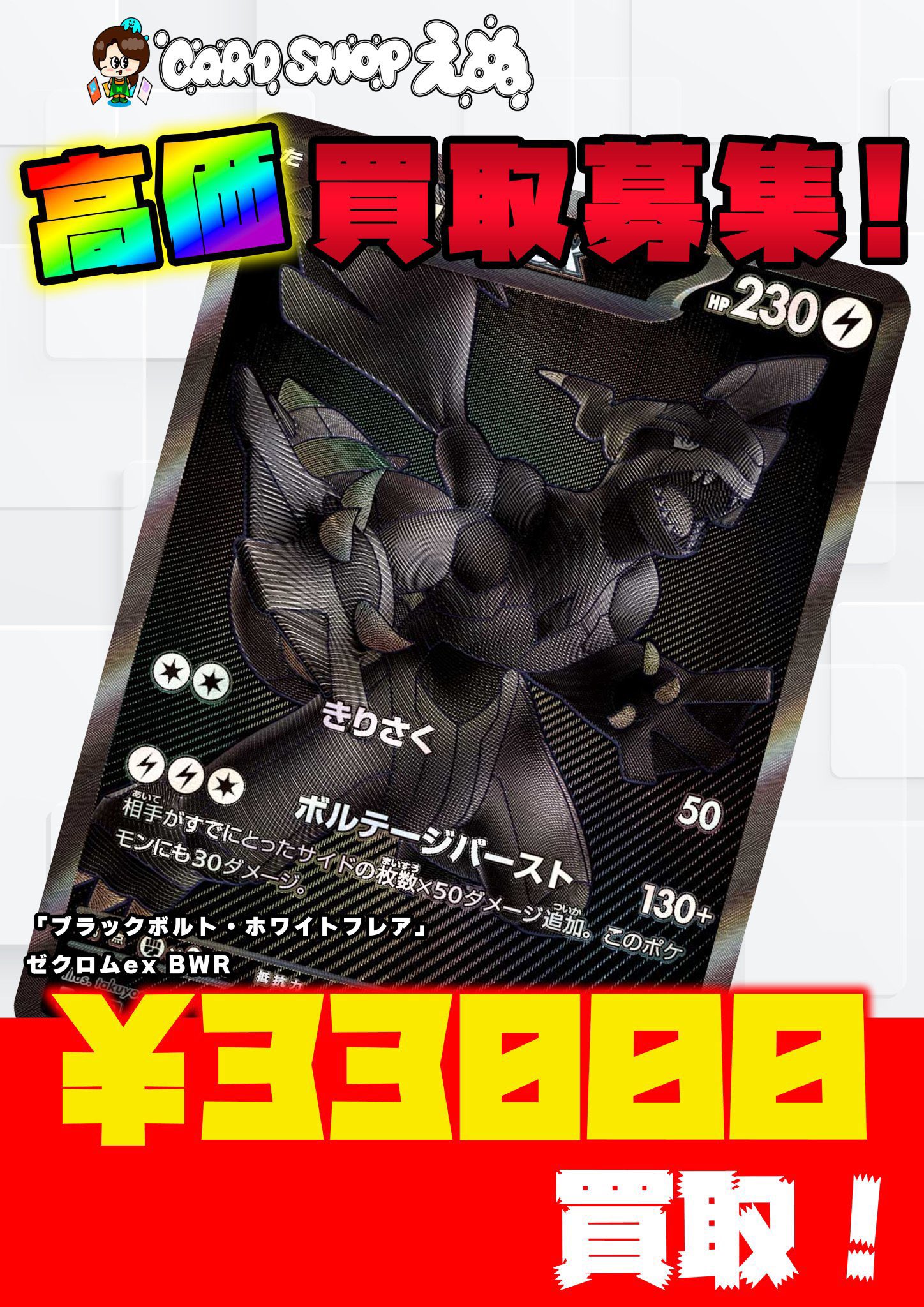 【額セット】 レシラムex BWR ゼクロムex BWR 額セット】 レシラムex BWR ゼクロムex BWR