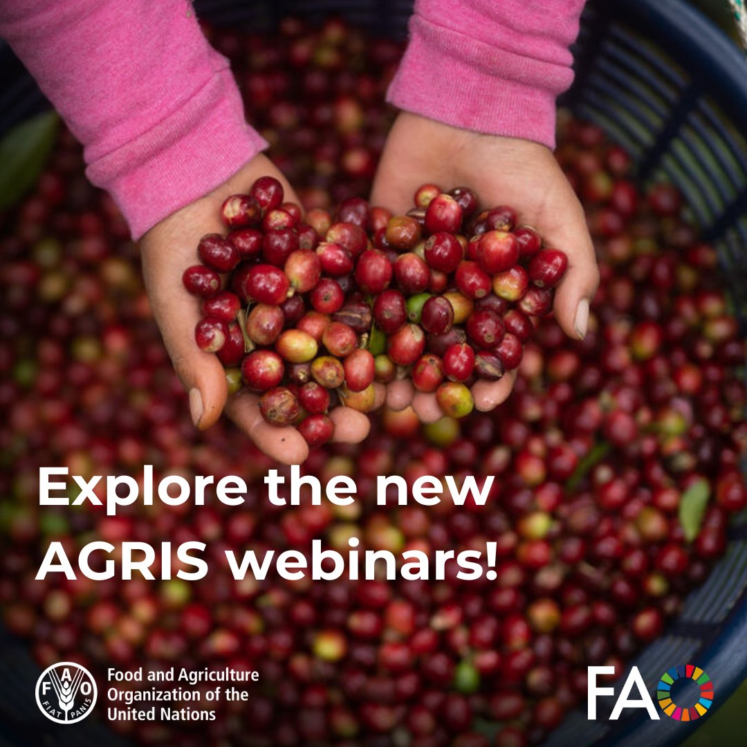 FAOAIMS's tweet image. Did you miss our last #AGRIS webinar?
🎥Don’t worry, all sessions are recorded.
Learn how to:
🔧 Optimize OAI-PMH endpoints
📂 Organize metadata sets to match AGRIS themes
🌍 Boost your repository’s visibility
🌾fao.org/agris/webinars