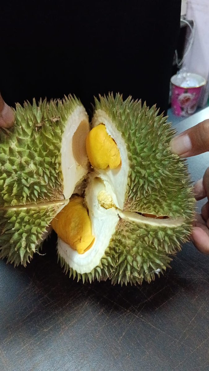 ZAzizie's tweet photo. Rezeki pagi jumaat, jiran baru opis blanja. #durian #alhamdulillah https://t.co/KD1vA1eofb