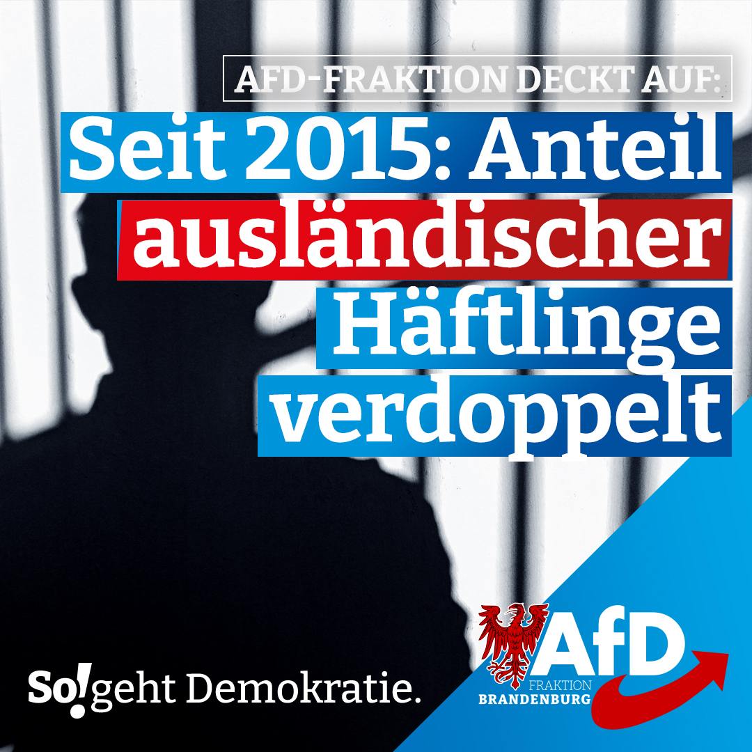 AfD-Fraktion Brandenburg (@afd_fraktionbb) on Twitter photo 🔴Rasanter Anstieg nicht-deutscher Strafgefangener in Brandenburg‼️
In ihrer Antwort auf eine Kleine Anfrage der AfD-Landtagsabgeordneten Michael Hanko und <a href="/JeanPascal_Hohm/">Jean-Pascal Hohm 🇩🇪</a> (Drucksache 8/1087) teilte die Landesregierung mit, dass sich der Anteil nicht-deutscher Strafgefangener 🔴Rasanter Anstieg nicht-deutscher Strafgefangener in Brandenburg‼️
In ihrer Antwort auf eine Kleine Anfrage der AfD-Landtagsabgeordneten Michael Hanko und <a href="/JeanPascal_Hohm/">Jean-Pascal Hohm 🇩🇪</a> (Drucksache 8/1087) teilte die Landesregierung mit, dass sich der Anteil nicht-deutscher Strafgefangener