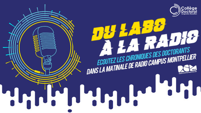 Campus Mag Occitanie (@campusmagoc) on Twitter photo 🎙️ Fin de saison pour les émissions #Du_labo_à_la_Radio !
🎧 Les chroniques des #doctorants d' <a href="/Occitanie/">Région Occitanie</a> sont à (re)découvrir en podcast ➡️ college-doctoral.fr/2024/11/07/du-…
#thèse #doctorants #radio 🎙️ Fin de saison pour les émissions #Du_labo_à_la_Radio !
🎧 Les chroniques des #doctorants d' <a href="/Occitanie/">Région Occitanie</a> sont à (re)découvrir en podcast ➡️ college-doctoral.fr/2024/11/07/du-…
#thèse #doctorants #radio