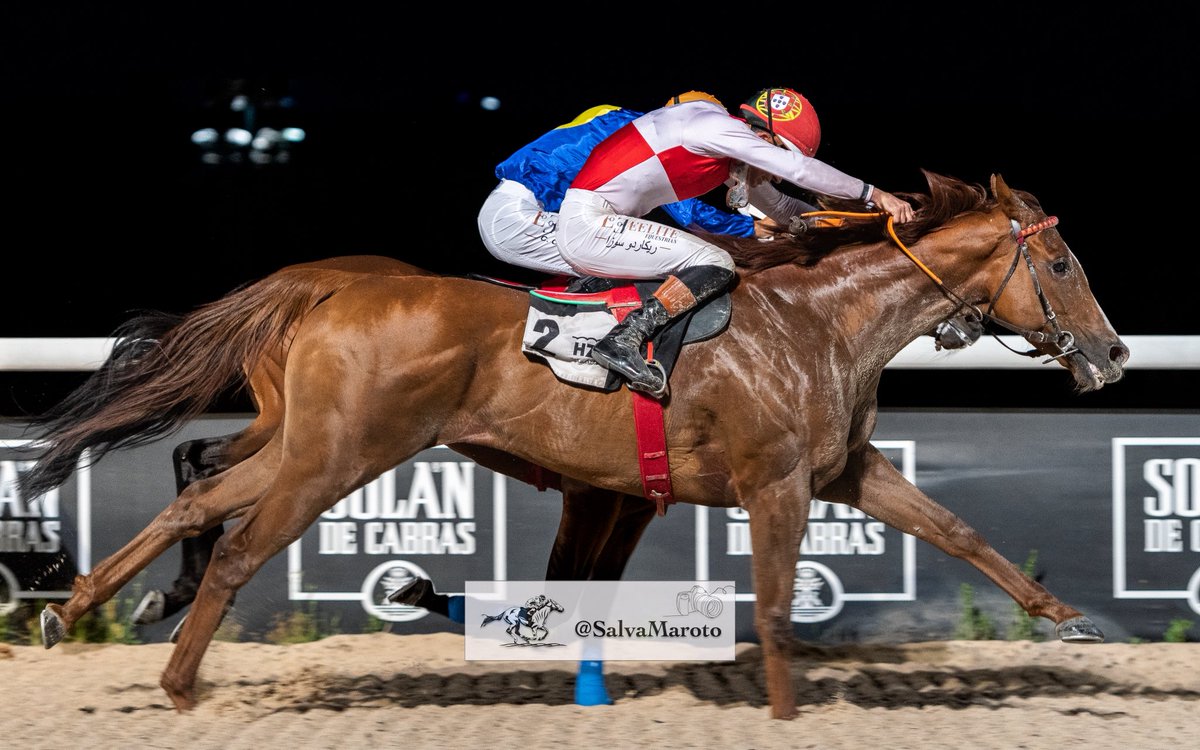 Premio Eelite Equestrian
@JockeyChallenge2025

🐴 Ambushed ➡️ Soldier’s Call &amp; Rush
🏇🏻 <a href="/RicardoSousaFe/">Ricardo Sousa</a> 🇵🇹
👔 J. Exposito
👕 Club Deportivo Roca Sport