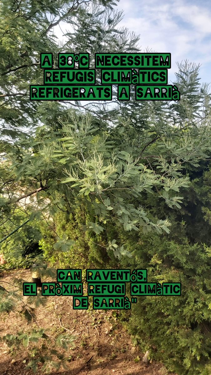 Per afrontar onades de calor com aquesta necessitem refugis climàtics climatitzats, ja que a l'exterior no s'hi pot estar🔥
Necessitem <a href="/CanRaventos/">Defensem Can Raventós</a> com refugi climàtic per al barri! 🏡