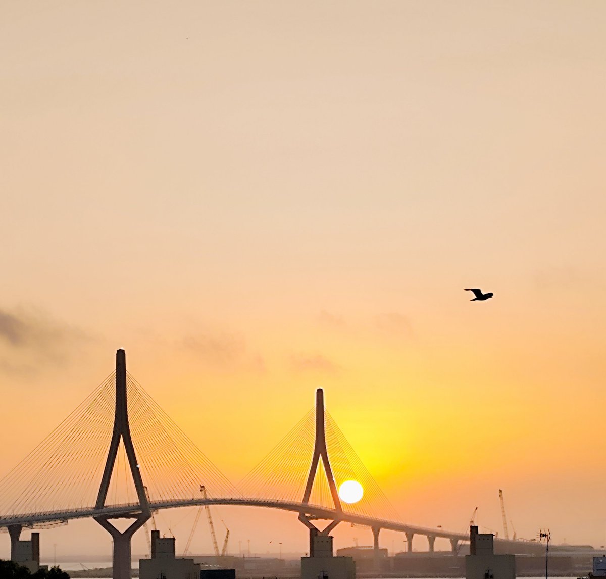 🌉😍