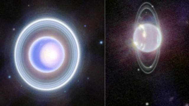 Erika  tweet media