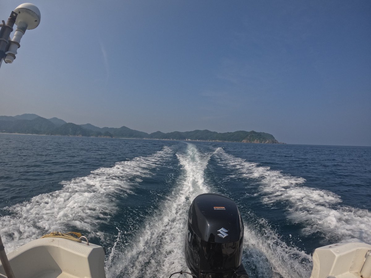umizono's tweet image. 夏日が続いてます。
今日はファン2ボート
①漁礁 水温23.6度(水深26m)透視度10~12m
②すりばち 水温26.2度(水深16m)透視度10m
夏日&べた凪と、いぃ~感じです・・・あとは透視度が上がるのを待つのみ。#鳥取 #岩美町 #ダイビング #羽尾