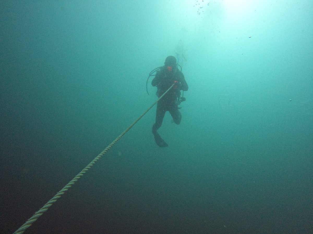umizono's tweet image. 夏日が続いてます。
今日はファン2ボート
①漁礁 水温23.6度(水深26m)透視度10~12m
②すりばち 水温26.2度(水深16m)透視度10m
夏日&べた凪と、いぃ~感じです・・・あとは透視度が上がるのを待つのみ。#鳥取 #岩美町 #ダイビング #羽尾