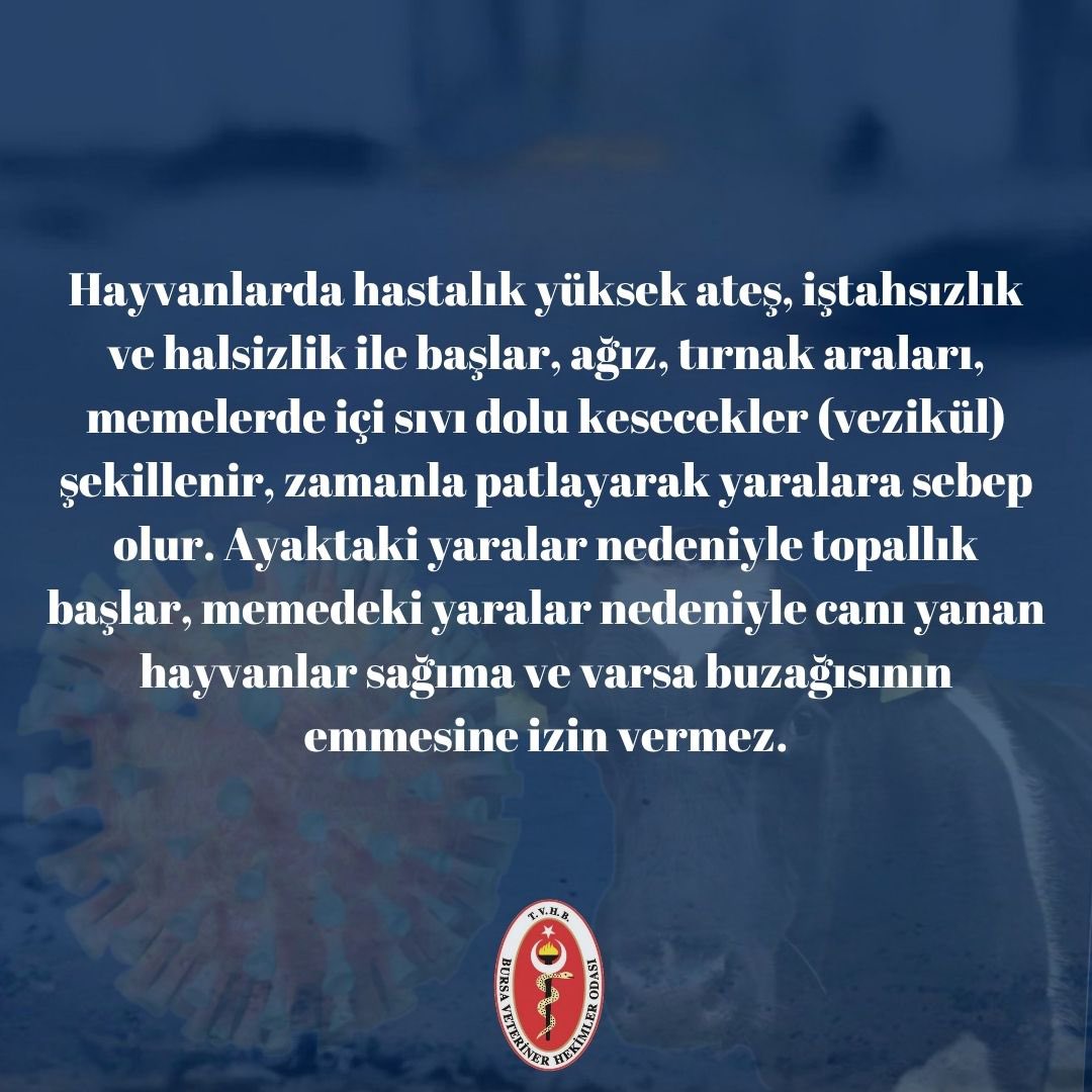 1

#ŞapHastalığı 
#VeterinerHekim 
#TekSağlık 
#GıdaGüvenliği