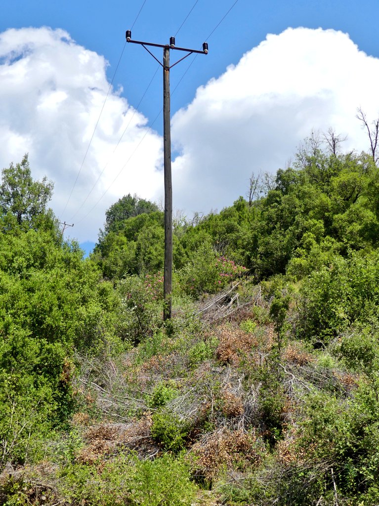 ❗Elektrik hatlarından kaynaklanabilecek yangınları önleme amaçlı tellerin altında kesilen çalıların kurumaları ve ortamdan uzaklaştırılmamaları riski çok daha fazla arttırıyor Alakır Vadisinde❗ 
<a href="/AntalyaValilik/">T.C. Antalya Valiliği</a> <a href="/antalyaobm/">Antalya Orman Bölge Müdürlüğü</a>
