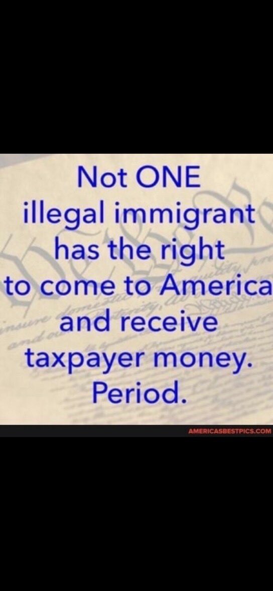 Nancy Q tweet media