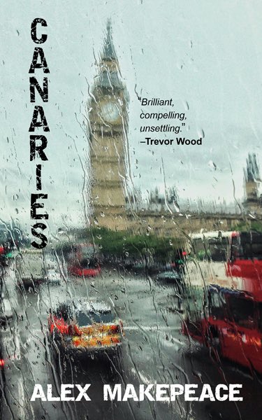 If populists sweep to power in the UK, what will really happen? The middle classes could be first in the firing line, says Alex Makepeace. Delighted to announce the timely Canaries, political thriller set in a Britain where a new government swiftly imposes its radical agenda.