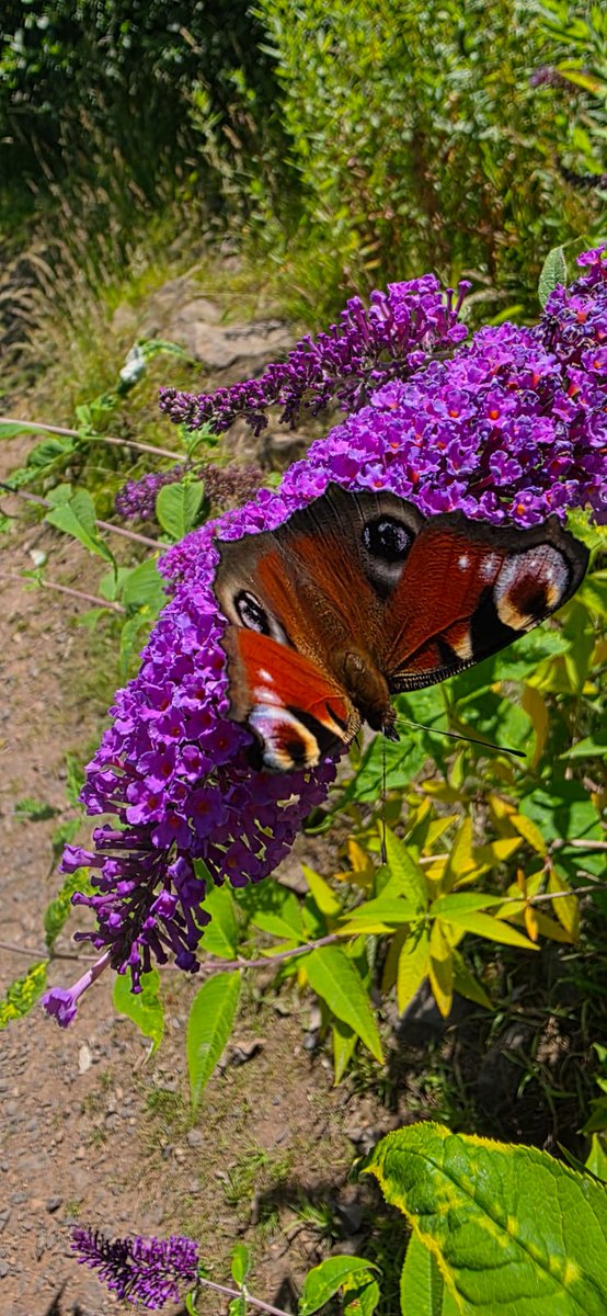 🌿 Sometimes, it’s the quiet moments that teach us the most.

Our Year 8 &amp; 9 students explored Birmingham’s green spaces through Geography and Natural World trips, discovering the beauty of local parks and the importance of nature in our lives. 🍃📍