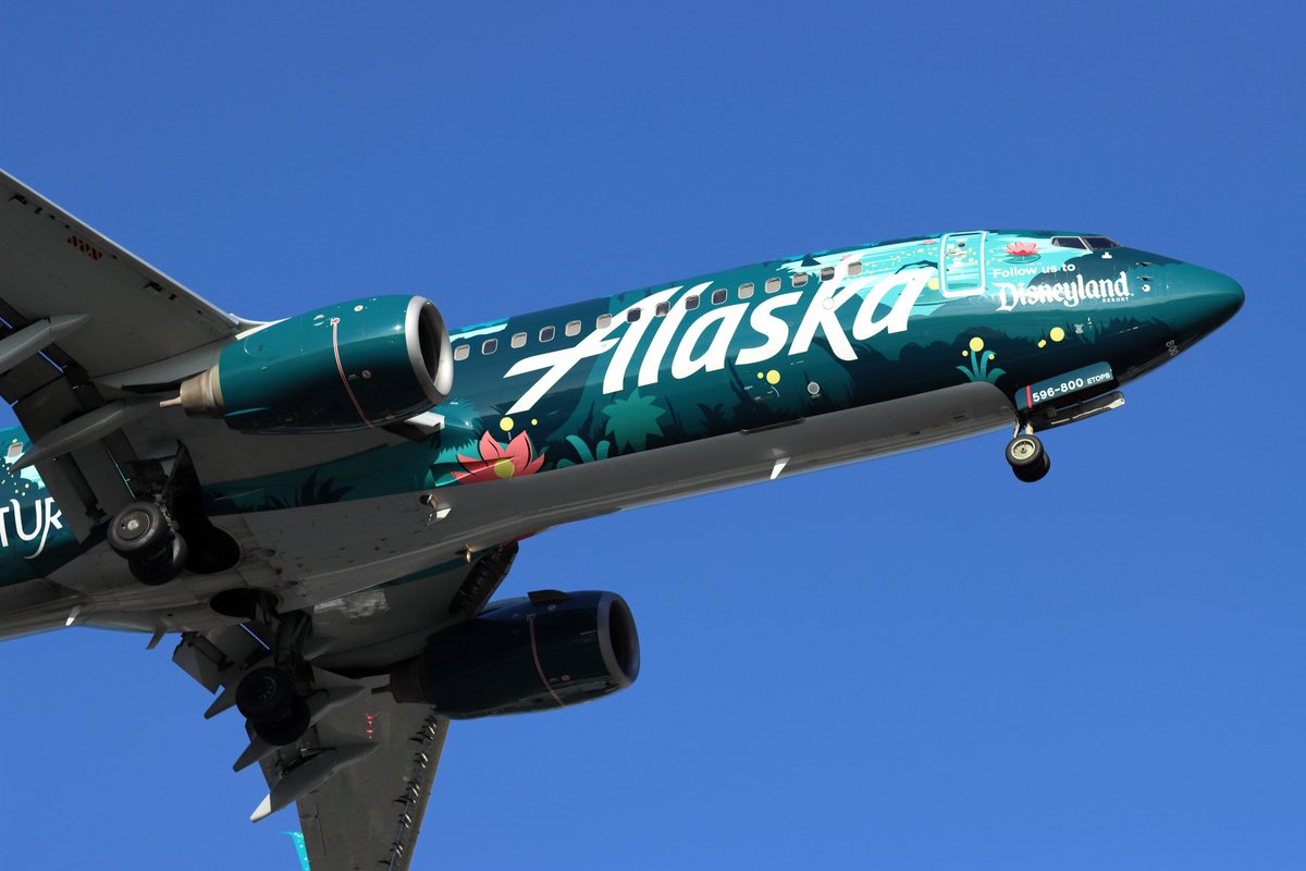 USA_SNS's tweet photo. Caught this magical moment in the sky! Alaska Airlines' special Disneyland livery featuring The Princess and the Frog—pure joy at 30,000 feet. #AlaskaAirlines #Disneyland #PrincessAndTheFrog #AviationLovers #PlaneSpotting #DisneyMagic 空で出会った魔法の瞬間！アラスカ航空のディズニーランド特別塗装機、テーマは『プリンセスと魔法のキス』。夢が飛んでるようでした。#アラスカ航空 #ディズニーランド #プリンセスと魔法のキス #飛行機好き #航空写真 #ディズニーマジック #写真好きな人とつながりたい #写真撮るのが好きな人と繋がりたい #写真 #写真垢 #飛行機 #カメラ #航空写真 #航空愛好家 #Photography #camera #picture #Aviation #Airplane #airline
@USA_SNS