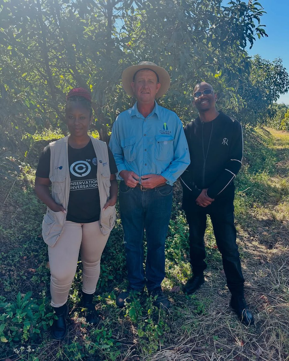 Thrilled to share this post from <a href="/AsaphAfrika/">A S A P H</a>! 

It's fantastic to see the work being done by #Cicada at Katiyo Estates in Honde Valley in collaboration with <a href="/euinzim/">EU Delegation to Zimbabwe 🇪🇺</a>. 

Thank you for the visit, we're excited to see what you create. #Zimbabwe #SustainableAgriculture #KatiyoEstate