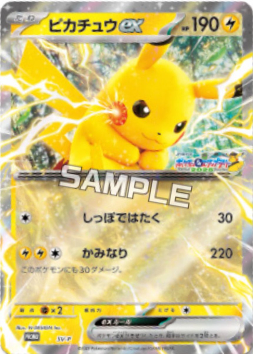 ポンチョを着たピカチュウ (XYプロモカード 274) — Poképédia