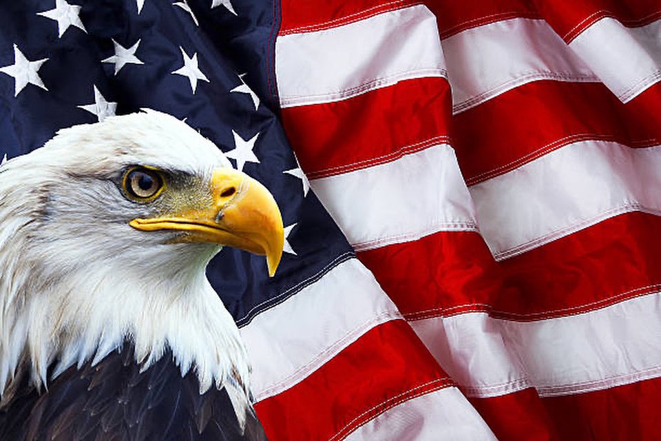 JohnSgromolo's tweet image. 🇺🇸 Happy 4th of July, Clay County! 🇺🇸
Today we celebrate the 249th anniversary of our nation’s independence—a day to reflect on the freedoms we’re blessed with and the men and women who’ve fought to protect them.
Stay safe tonight as you enjoy the fun and fireworks!