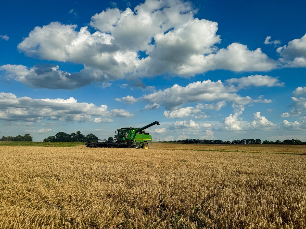 gregpeterson33's tweet image. Wheat harvest is finished! 2 weeks of starts and stops and rain delays. Yields above average! Now on to double crop.