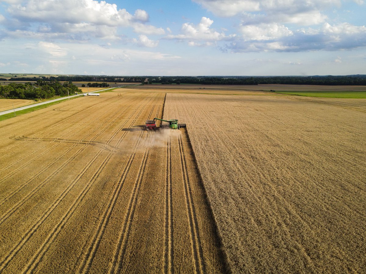 gregpeterson33's tweet image. Wheat harvest is finished! 2 weeks of starts and stops and rain delays. Yields above average! Now on to double crop.