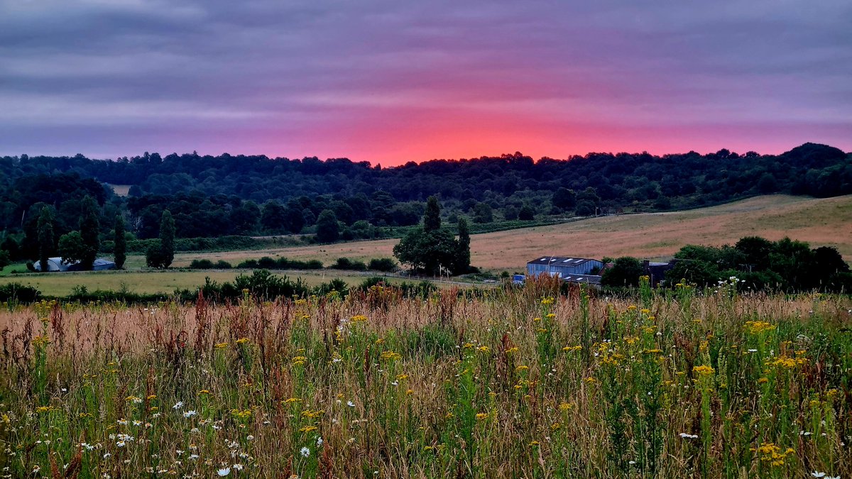 MidlandsBirder's tweet image. Good morning 😍 #Sunrise