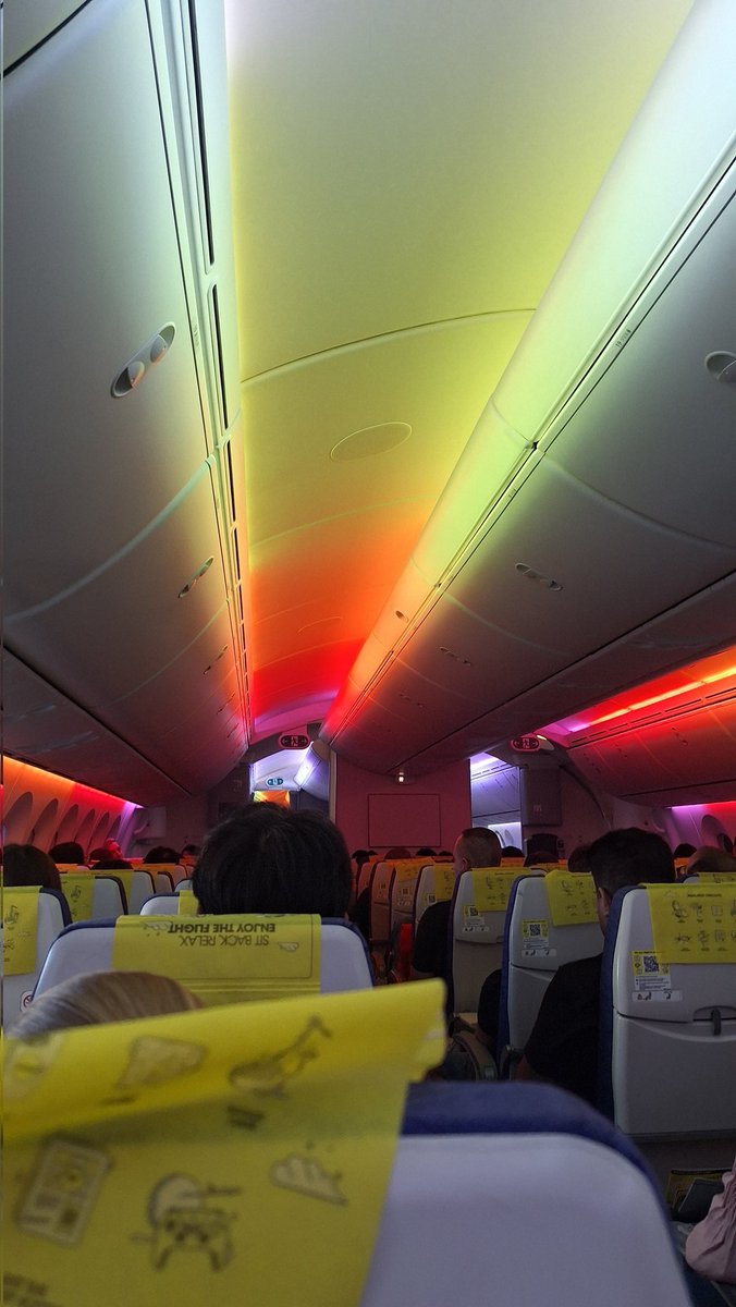 data50090's tweet image. gay beam in my plane yesterday