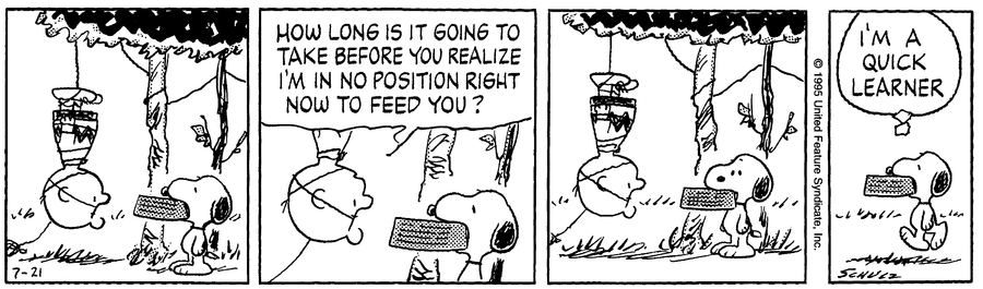 peanuts_no's tweet image. July 21, 1995