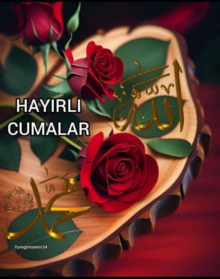 Günaydın güzel insanlar gününüz
Güzel kazancınız bereketli olsun
Sağlık huzur mutluluk ve neşe dolu
Bir CUMA günü dilerim herşey
Gönlünüzce olsun sağlıcakla kalın
Selam sevgi ve saygılar dostlarıma

Evinizde huzur
Sofranızda bereket
Kalbinizde sevgi
Eksik olmasın

😊🙋🏻‍♂️🇹🇷☕️🤲